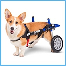 StoS Corgi Wheelchair