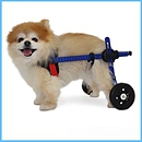 StoS Mini Wheelchair