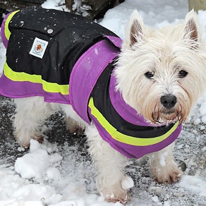 Safe to Shake Lightweight Waterproof Dog Coat