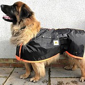Safe to Shake Giant Lightweight Dog Coat